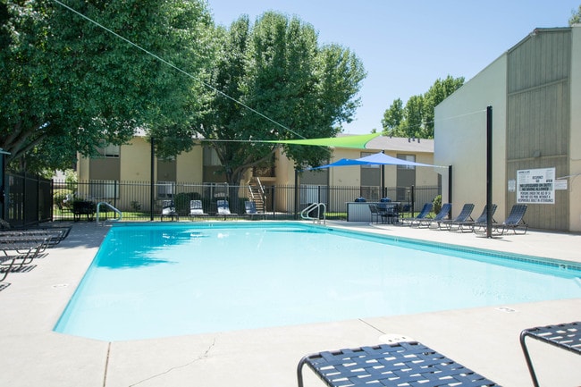 Pool & BBQ Area