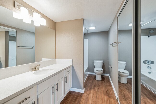 Our Premium Bathroom in a Two Bedroom Two Bath Apartment at Meadow Creek Apartments in San Marcos, CA