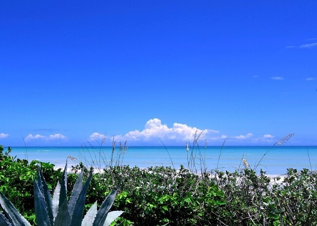 Oceanfront Walk-Out Condo - Oceanfront Walk-Out Condo Unit 101C