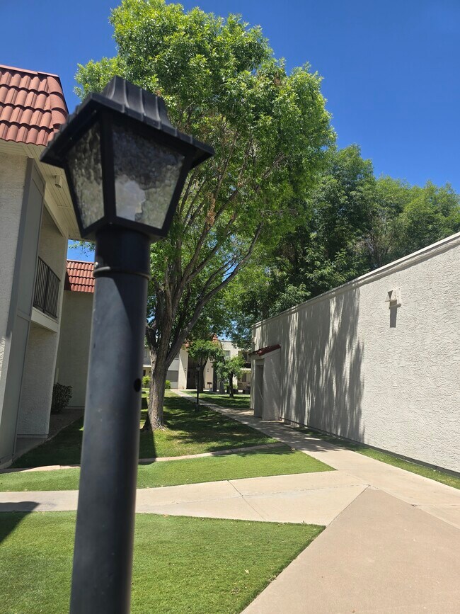 Unique lighting throughout the community - Hidden Village