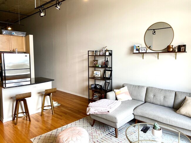 Living Room - 900 N Kingsbury St Unit 904