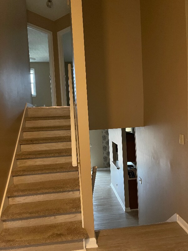 Photo - 14 Jill Ln