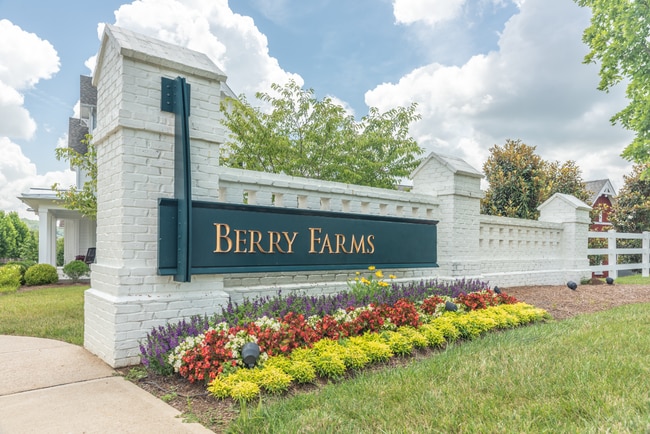 Town Center at Berry Farms apartments — community photo