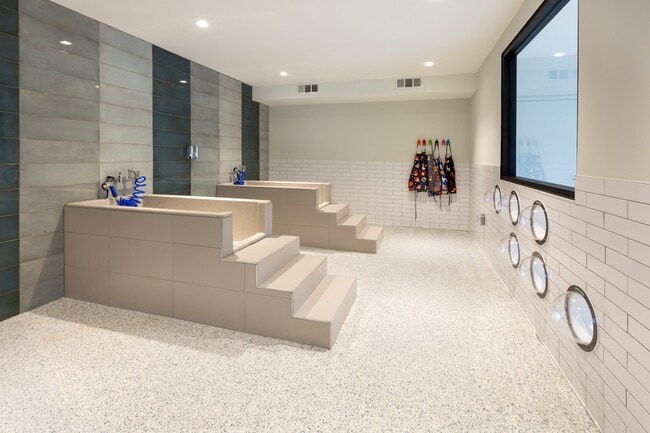 Spa para mascotas grandes - Bexley Chamblee