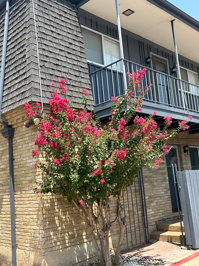 Building Photo - 5014 Les Chateaux Dr Unit 230