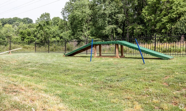 Dog Park