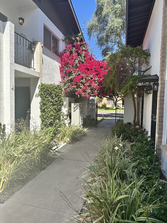 Photo - 3637 E Monterosa St