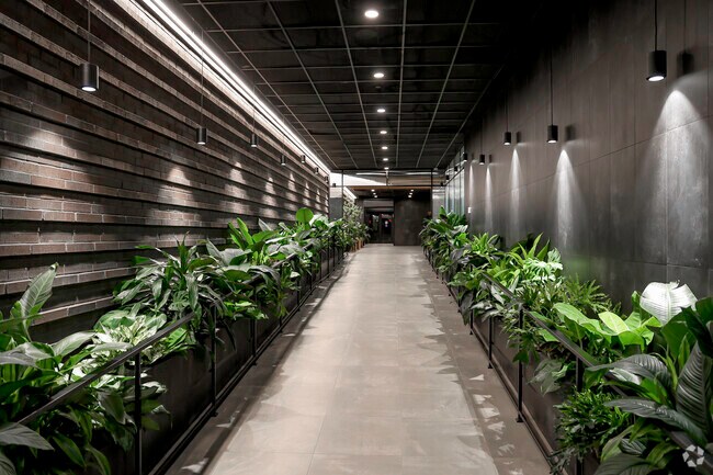 Entrance - The Motto