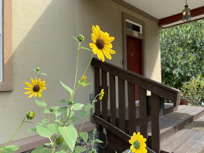 Photo - 905 Prospect Ave Unit A