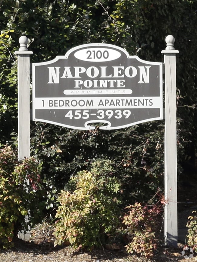 Napoleon Pointe - Napoleon Pointe