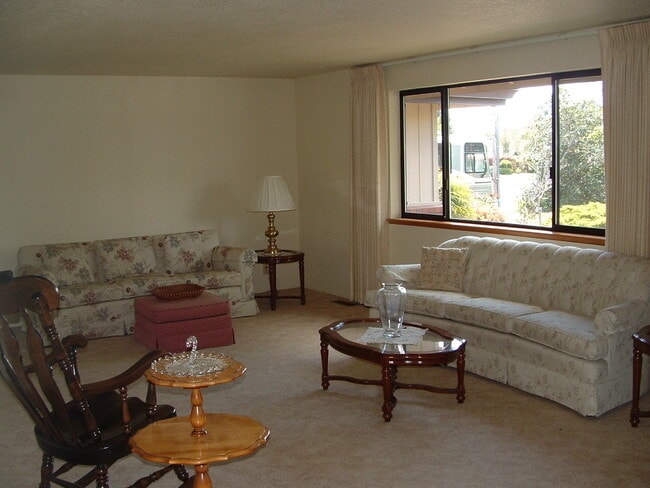 Photo - River beauty