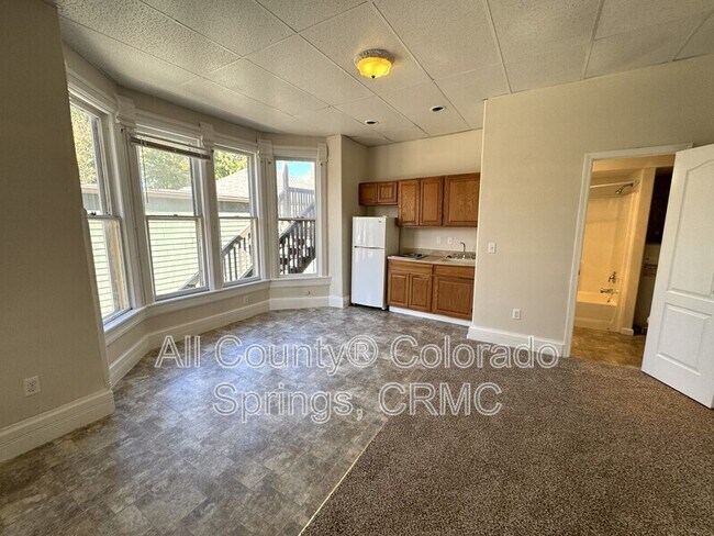 Photo - 508 E Cache La Poudre St Unidad 101