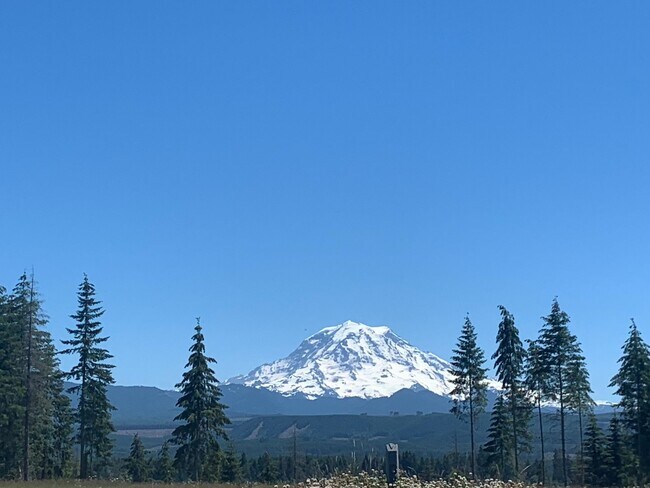 Photo - Stunning and New Bonney Lake Home