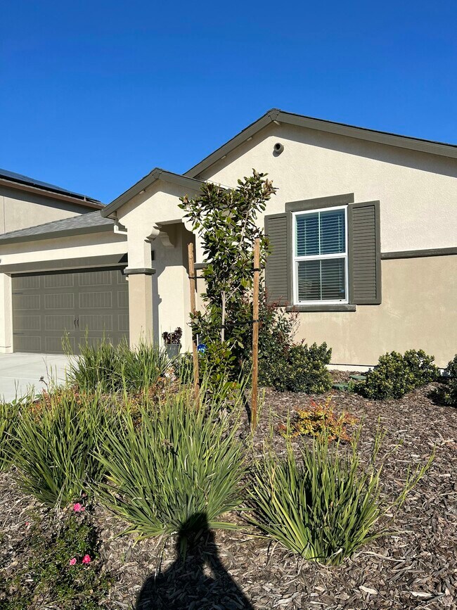 10424 Skynyrd Way