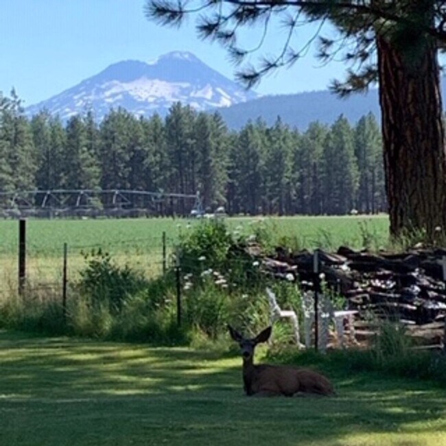 Photo - Live in Beautiful Sisters Oregon for the W... House