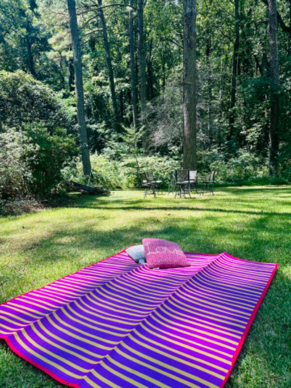 Backyeard - 2562 Meadow Lark Dr Unit Meadow Lark