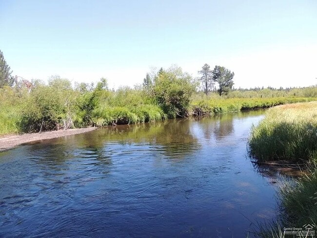 Building Photo - Adorable Cabin on the River