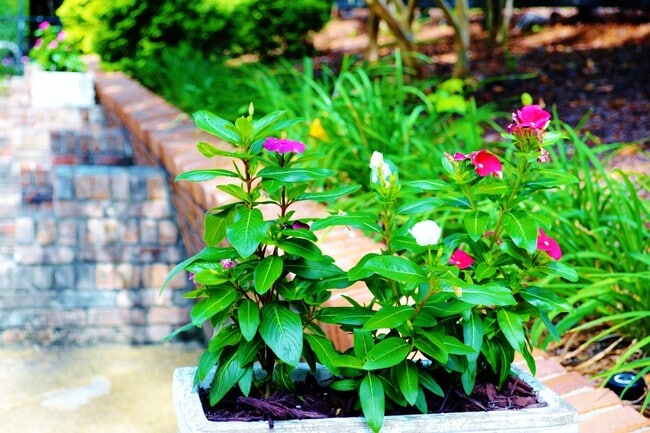 Photo - Village Square Apartments