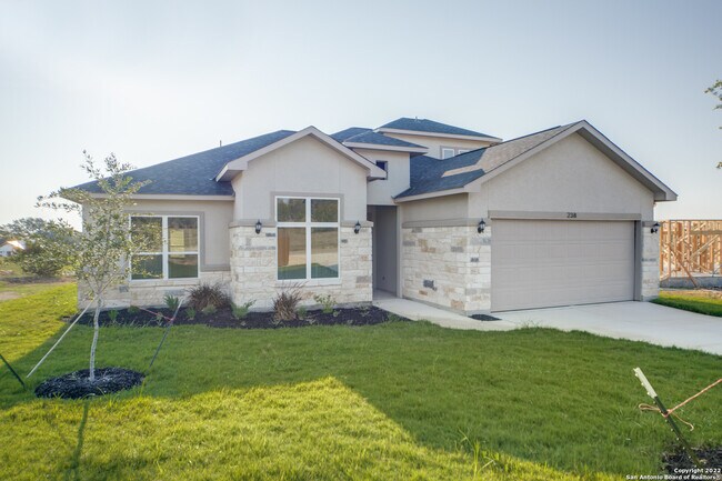 Photo - 238 Peter Kleid Lp