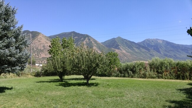 Photo - 3 bedroom 1 bath home in south Spanish Fork