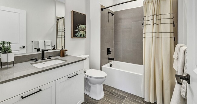 Photo - Olive & Wooster