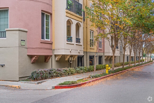 Fotografía del edificio - The Sonora