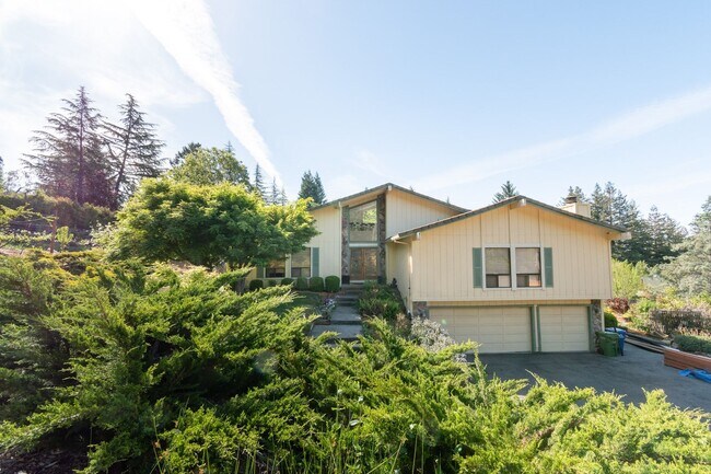 Photo - Los Gatos Mountain Living at its Best! Gated 1 Acre lot! Spacious 5 bedroom House! Pool!