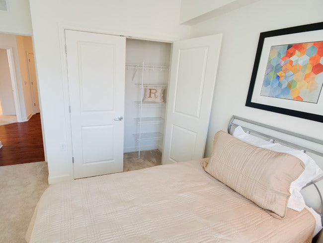 Spacious Bedroom Closets