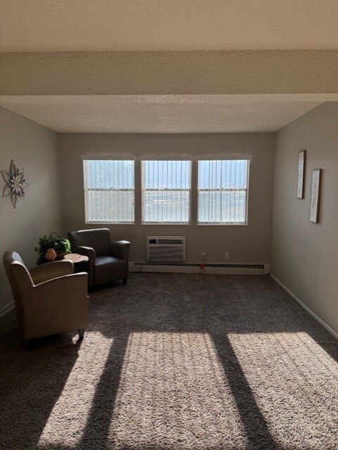 Photo - Spring Creek