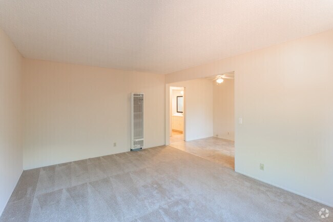 Photo - Cherry Blossom