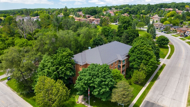 Building Photo - Mapleview Apartments