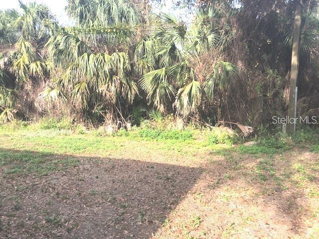 Photo - 232 Bamboo Dr