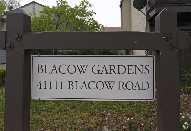 Photo - Blacow Gardens