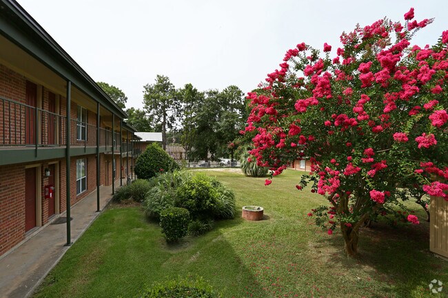 Photo - Chapel Terrace