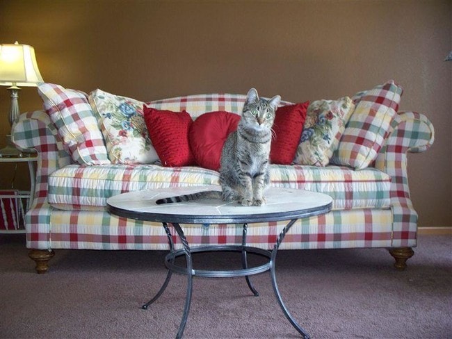 Photo - Delhi Stratford Place (Senior Community)