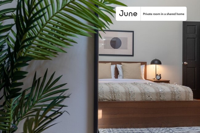 Photo - Room in Shared 5 bed/2 bath home in Allston Unidad D