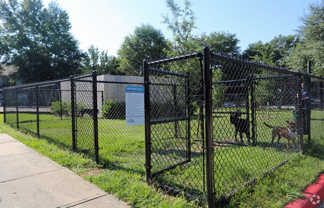Dog Park - Park at Spring Creek