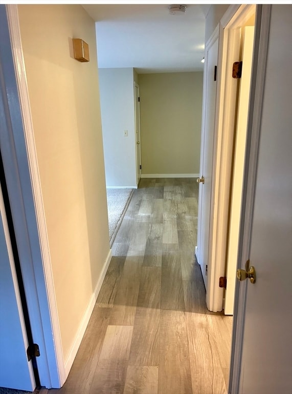 Photo - 325 Ashland Ave Unit 3