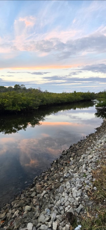 Building Photo - 7639 Wells Ct