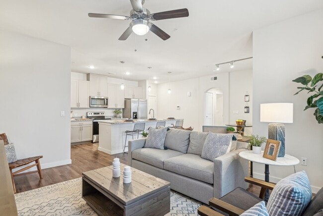 Luxia Rockwall Downes