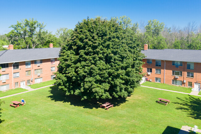 Photo - Webster Park Apartments