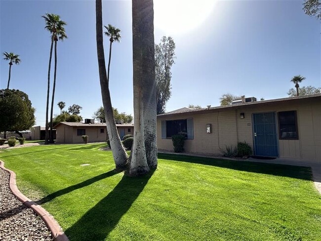 Paradise Village Apartments