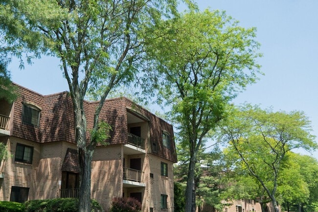 Photo - La Maison Apartments