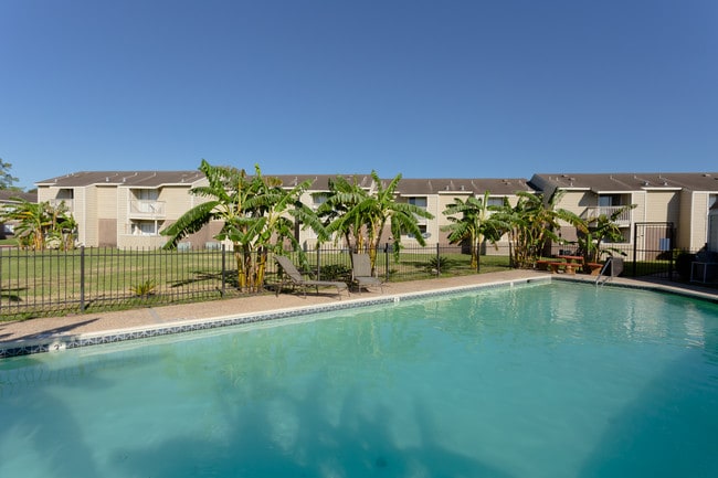 Photo - Jasmine Park