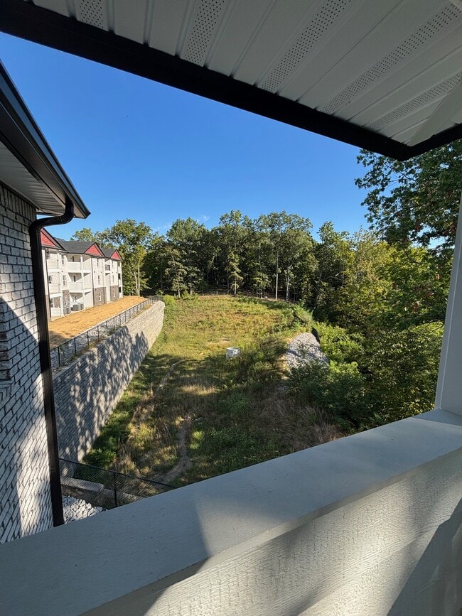 wooded view backside of 2b/2b
