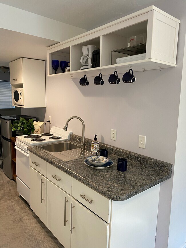 Photo - 563 E Thatcher Way Unit Basement