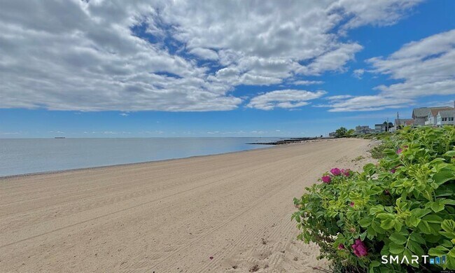Photo - 12 Dunbar Rd