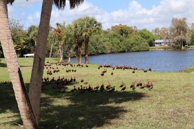 Photo - 880 Van Gogh Rd