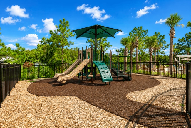 Hammock Ridge
