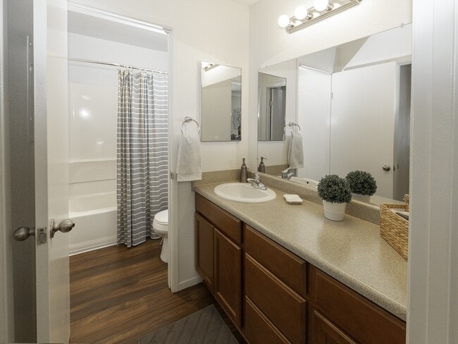 Luxurious Bathrooms